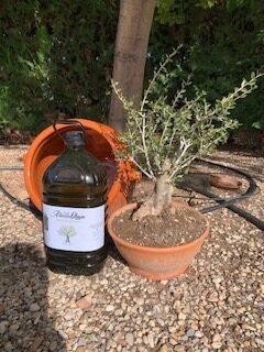 Garrafa Aceite de Oliva Virgen Extra - Imagen 2